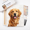 Custom Photo Paint-by-Numbers Kit